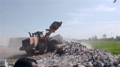 إزالة 910 حالات تعد على أراض زراعية وأملاك دولة بالمنيا ضمن حملات المرحلة الأولى للموجة 24