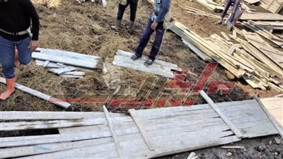 إزالة بناء مخالف على أرض زراعية بالحامول في كفر الشيخ