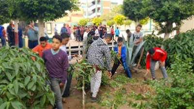  بالصور.. محافظ الغربية: طلاب زفتى سجلوا تميزًا على الجدران بتشكيلات فنية وزراعة 300 شجرة بالمدارس
