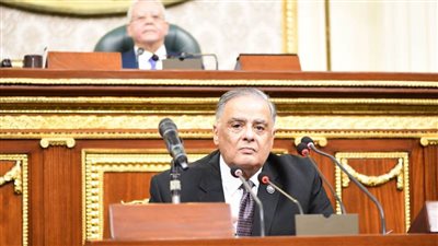 مناقشات بالجلسة العامة حول قانون الإجراءات الجنائية