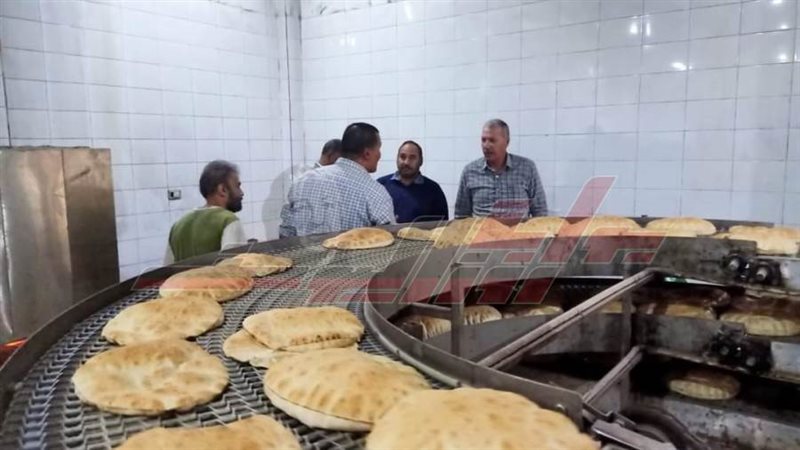 الحملات الرقابية