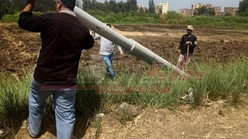 زرعة الأعمدة