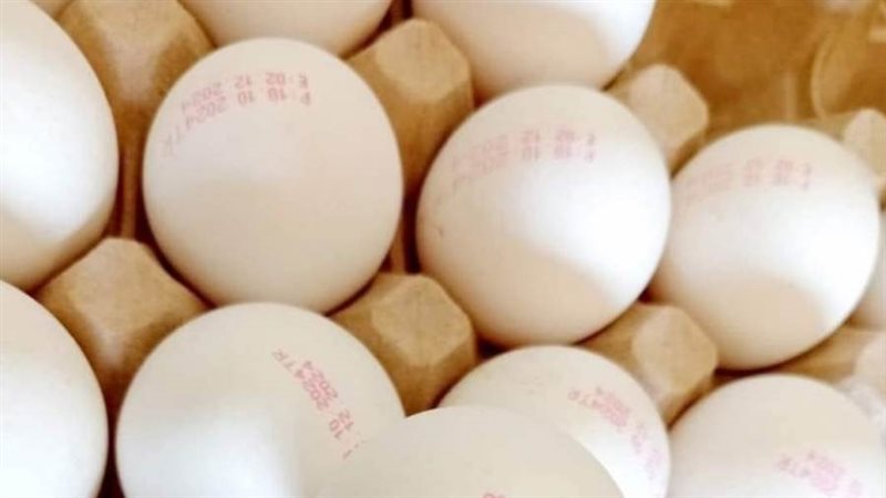 البيض التركي