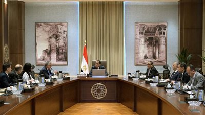 رئيس الوزراء يستعرض موقف مشروع 