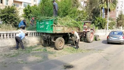 رفع 470 طن مخلفات بلدية من شوارع الدقهلية 