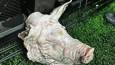 عاجل| بعد 20 عامًا.. البرازيليون يستعيدون واقعة برشلونة وريال مدريد المخيفة