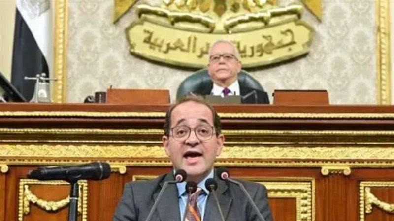 وزير المالية أمام