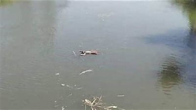 غرق شاب في ترعة بمشروع توشكى جنوب أسوان