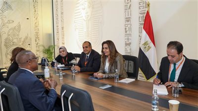 وزيرة التنمية المحلية تستقبل خبير 