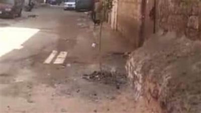 محافظ المنيا يقرر إزالة نقطة تجمع القمامة في عزبة شاهين استجابة للأهالي