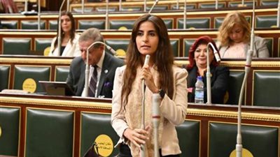 خارجية النواب: محاولات الإخوان لتخريب الدولة مستمرة لكن وعي الشعب المصري أقوى