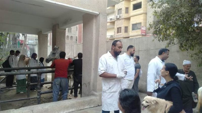 قافلة بيطرية