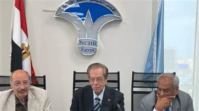 عاجل| «حقوق الإنسان» يوصي بمراجعة شاملة لعقوبة الإعدام وفق المعايير الدولية