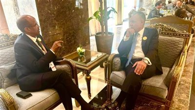 وزير الخارجية يؤكد حرص مصر على تعزيز التعاون الثنائي مع جيبوتي في كافة المجالات