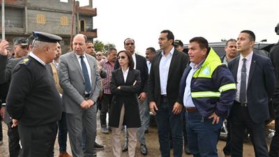  محافظ البحيرة ومدير الأمن يقودان حملة مكبرة لإزالة التعديات بـ