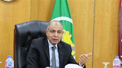 محافظ المنيا: 3209 مشروعات في 28 قطاعا في المرحلة الأولى بمبادرة 