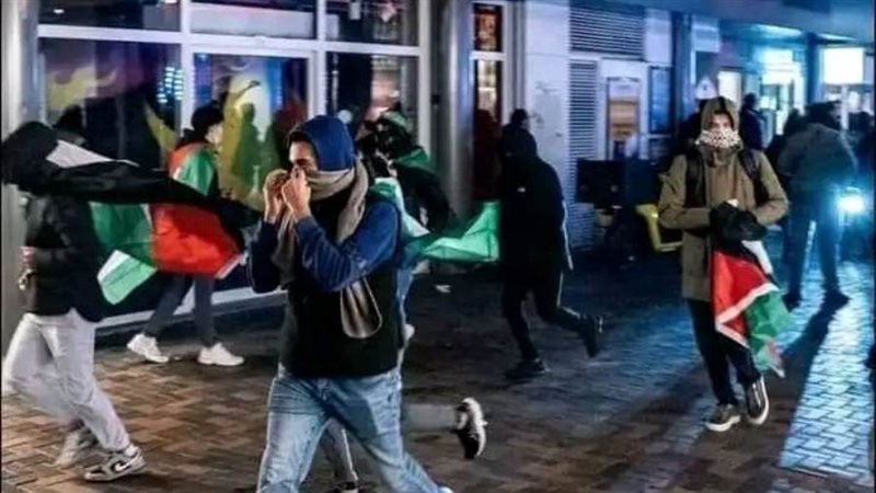 بوابة روز اليوسف