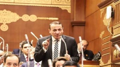 رئيس «برلمانية حماة الوطن» بالشيوخ يطالب بتوفير ضمانات تحقيق جودة التعليم