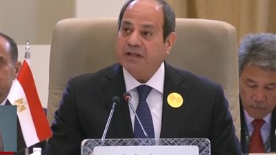 قيادات حزبية: رسائل السيسي بالقمة العربية حاسمة وأكدت دعم مصر للقضية الفلسطينية
