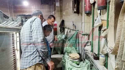 تحرير 7 محاضر للمخالفين بكفرالشيخ 