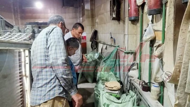 الحملات الرقابية