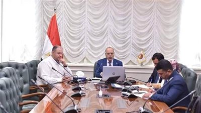 بالفيديو كونفرانس.. وزير العمل يعقد اجتماعًا مع أعضاء مكاتب التمثيل العمالي بالخارج 