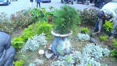  بالصور.. محافظ الغربية: خطة لتشجير الطرق وزيادة المسطحات الخضراء