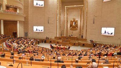 برلمانيون: مروجو الشائعات لن يتوقفوا عن نشر اكاذيبهم