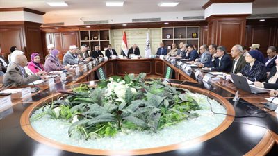 تنفيذي بنى سويف : روح الفريق الواحد قادتنا للفوز بجوائز التميز للأداء المؤسسي