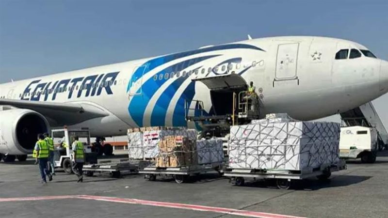 طائرة مساعدات مصرية