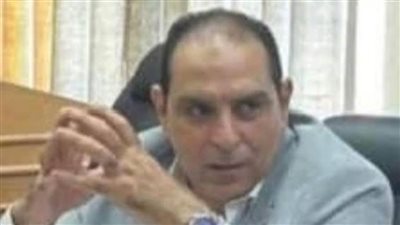 شعبة المستوردين بالغرف التجارية: الشراكة بين القطاعين العام والخاص إحدى السياسات البديلة لتمويل المشروعات