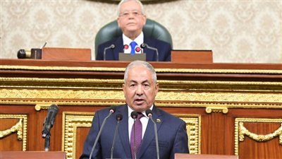 إنفوجراف.. مزايا مشروع قانون لجوء الأجانب المعروض على مجلس النواب