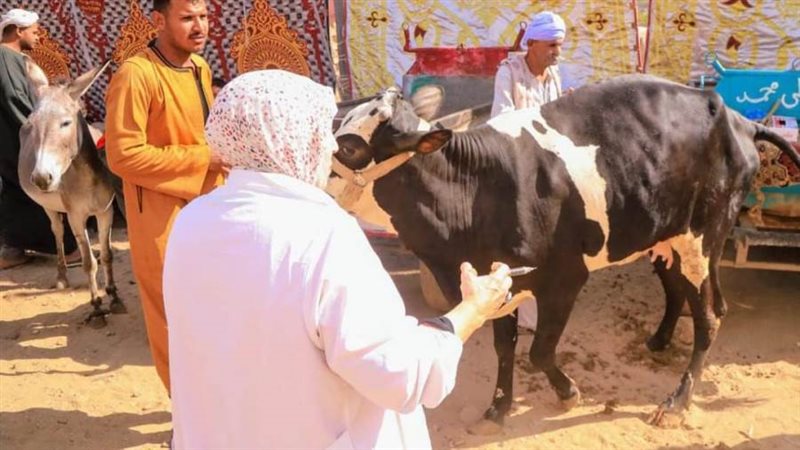 قافلة طبية بيطرية