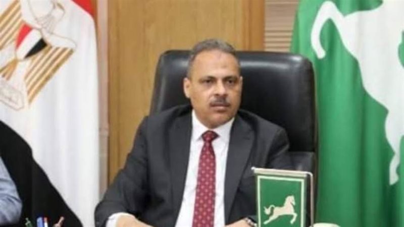 محافظ الشرقية المهندس