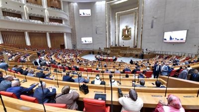 برلمانيون: قانون لجوء الأجانب يعزز جهود مصر لتوفير حياة كريمة لهم