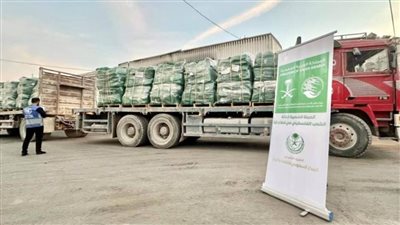 وصول قوافل إغاثية جديدة إلى شمال قطاع غزة