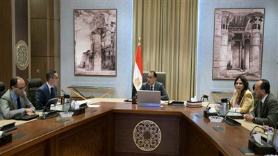 مدبولي يناقش مع وزير الاستثمار جهود صندوق مصر السيادي وتنظيم سوق السيارات