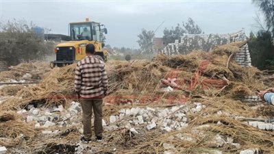 سيدي سالم تزيل التعديات على الأراضي الزراعية وأملاك الدولة 