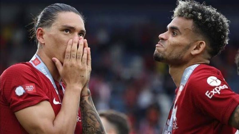 داروين نونيز ولويس