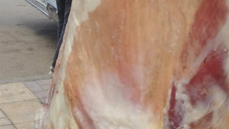 تموين المنتزة تضبط