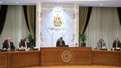 رئيس الوزراء يستعرض مع المدير التنفيذي لشركة 