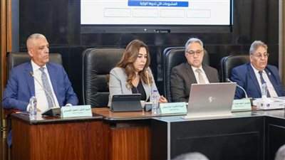 دمنال عوض: انتهاء الأحوزة العمرانية لـ230 مدينة 100% من إجمالي عدد المدن