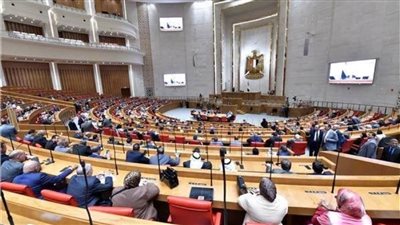 نواب: قانون لجوء الأجانب يتماشى مع التزامات مصر الدولية 