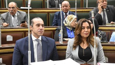 وزيرة التنمية المحلية: رفع 6 ملايين طن من التراكمات التاريخية للمخلفات بالمحافظات 