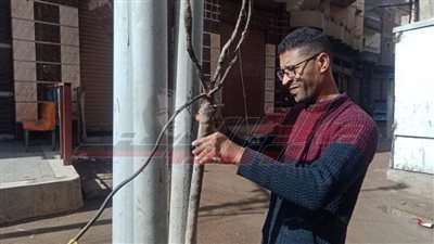 رفع كفاءة منظومة الإنارة العامة بدسوق في كفر الشيخ 