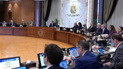 تعرف على قرارات مجلس الوزراء.. أبرزها تغليظ العقوبات بشأن الجرائم الخاصة بالاستيلاء على التيار الكهربائي