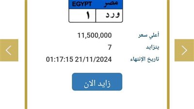 عاجل.. «ورد 1» تجاوزت 11.5 مليون جنيه.. مزاد مشتعل على لوحات السيارات