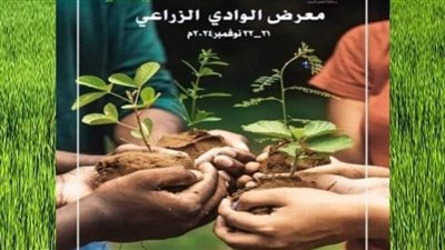 الوادي الجديد تتزين استعدادًا لانطلاق المعرض الزراعي لعرض أحدث الابتكارات وفرص الاستثمار