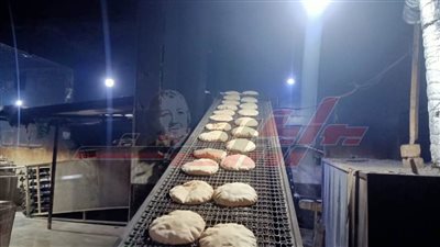 تحرير 8 محاضر لمخالفات تموينية بالحامول في كفر الشيخ 