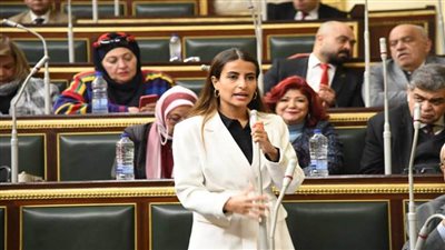 خارجية النواب: قرار الجنائية الدولية باعتقال نتنياهو تحول نوعي ودعوة لتحرك دولي شامل